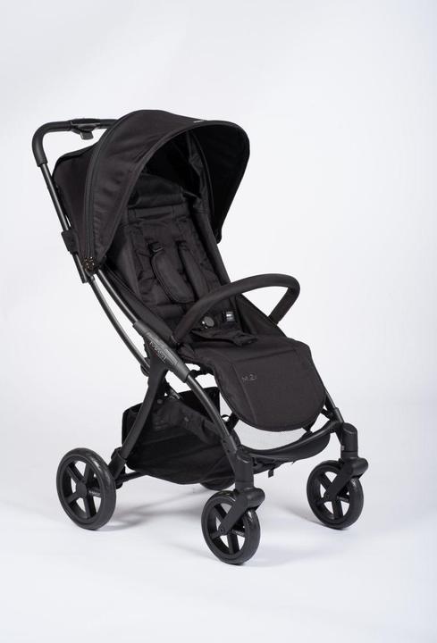 Mast M.2X travel buggy