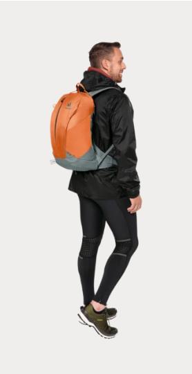 Actual product image Deuter AC Lite 17 (17 l)