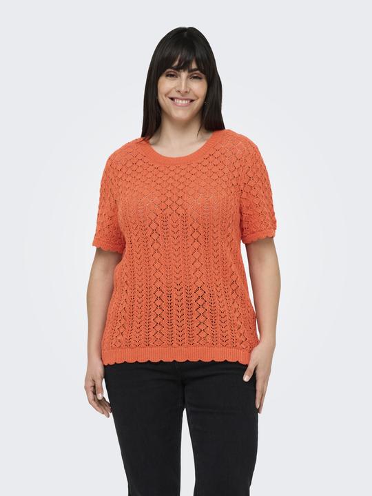 Image du produit Only CARSAGA Gestricktes Oberteil Gestricktes Oberteil (S)