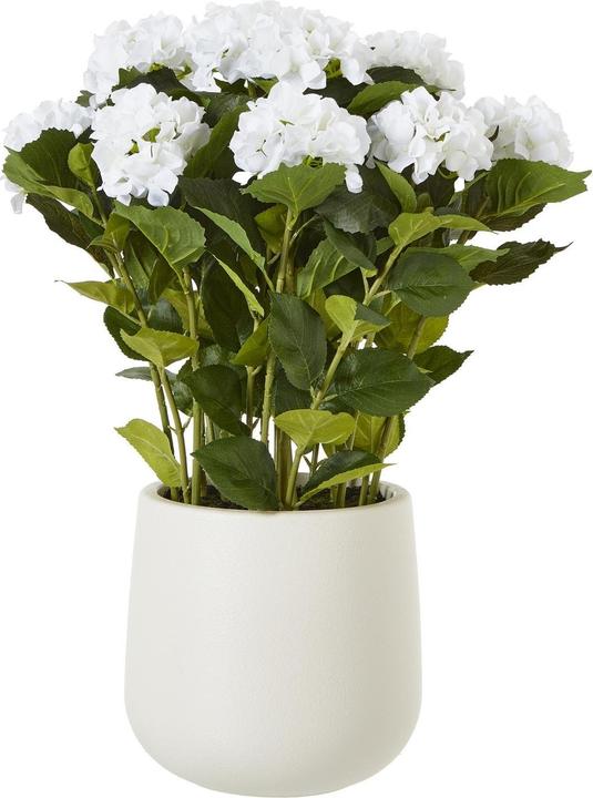 Produktbild Hill Interiors Künstliche Topfpflanze (63 cm)