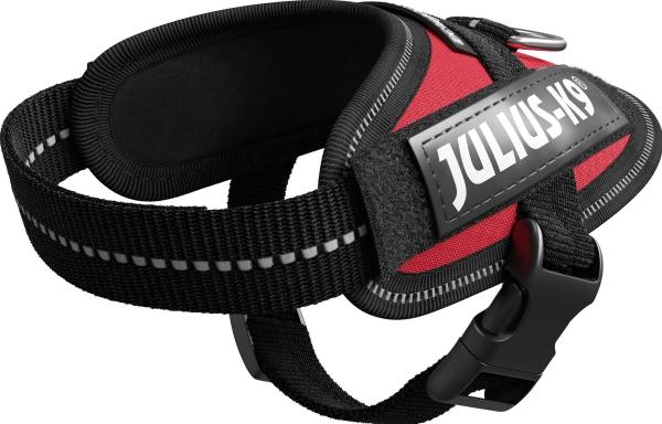 Actual product image Julius-K9 K9 Idc Powergesch Baby 1 Red 2 (1, Dog, Dog sport)