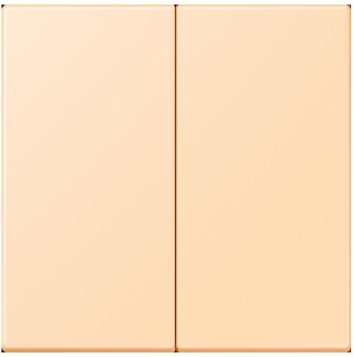 Actual product image JUNG Control button