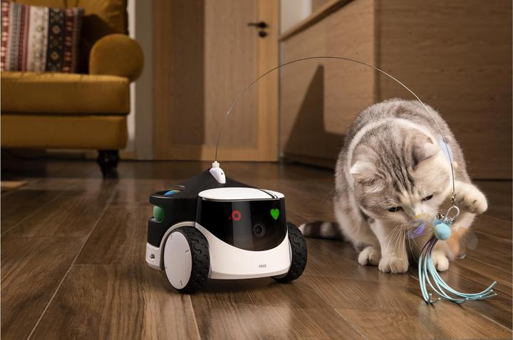 Produktbild Enabot ROLA PetPal Interactive Toys (Beschäftigungsspielzeug Katze)