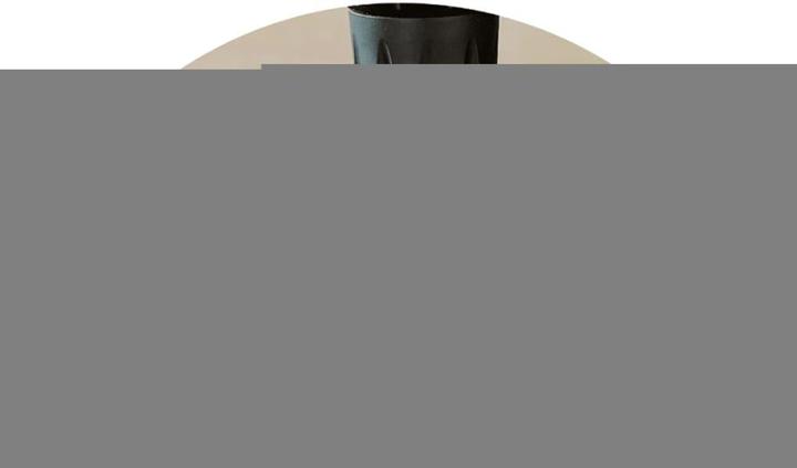 Produktbild wolfcraft Spann- und Arbeitstisch MASTER 600 (53 cm, 65 cm)