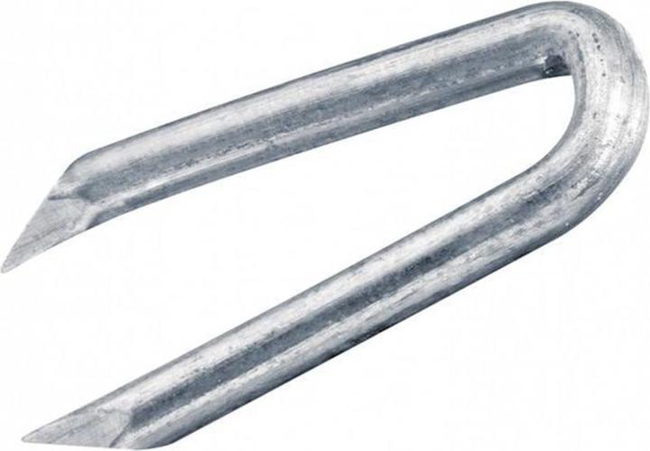 Actual product image FTM Agraffe (8 pcs., 38 mm)