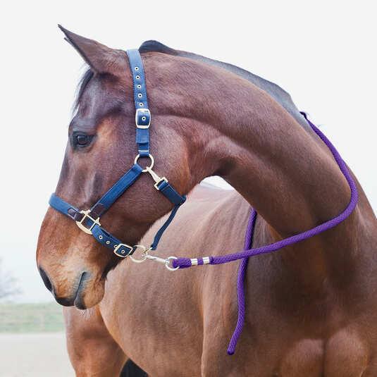 Actual product image Horze Lanyard with anti-panic carabiner for horses