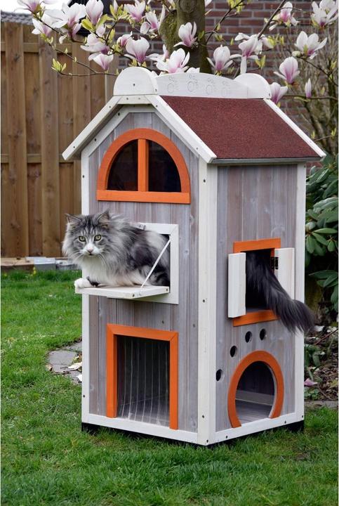 Actual product image Dobar Fancy Cat (Cat)