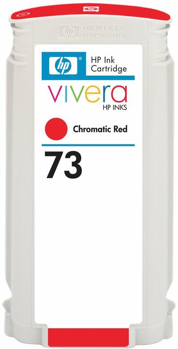 Actual product image HP 73 (R)