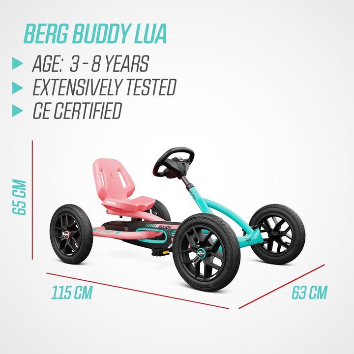 Actual product image BERG Buddy GoKart