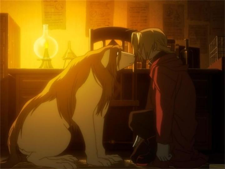 Actual product image Fullmetal Alchemist: Brotherhood Volume 3 (DVD, 2009, German)