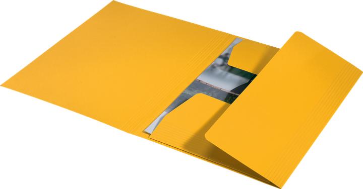 Actual product image Leitz Inlay Folder Juris Folder A4 Yellow (A4, 1x)