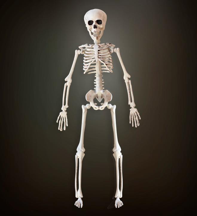 Actual product image Widmann Movable skeleton (1 pcs.)