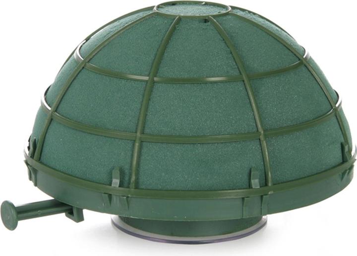 Actual product image Oasis Auto Rondella