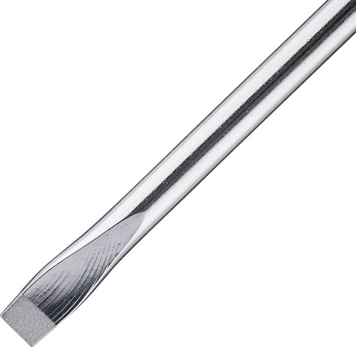 Actual product image Stanley Slotted screwdriver (Port)