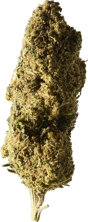 Immagine prodotto Herba di Berna Cannatonic Outdoor in edizione limitata (45 g, Esterno)