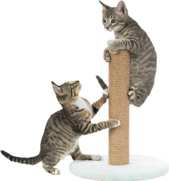 Produktbild Trixie Junior (42 cm, Mint)