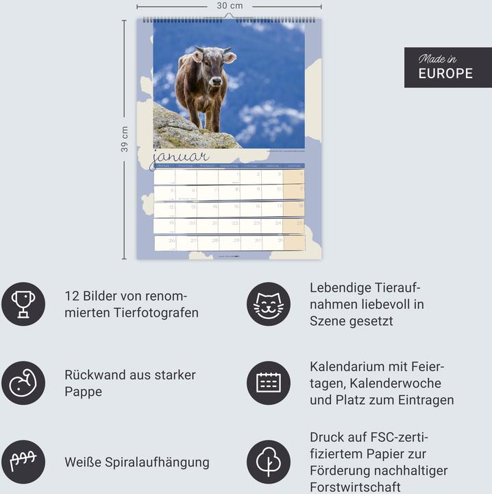 Produktbild Kuh Kalender 2026 (30 x 39 cm)