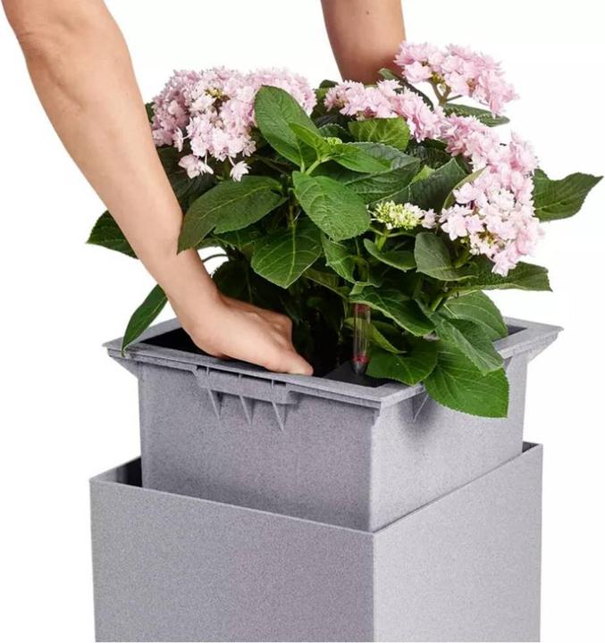 Image du produit Lechuza Canto Color Cube (30 x 30 x 30 cm)