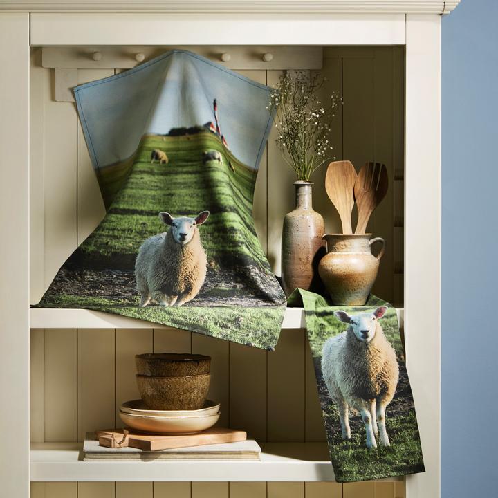 Produktbild Erwin Müller Geschirrtuch 2er-Pack (70 x 50 cm)