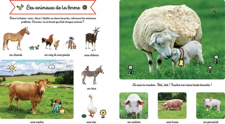 Image du produit Larousse jeunesse Le grand imagier des animaux à toucher (Français, Collectif, 2022)
