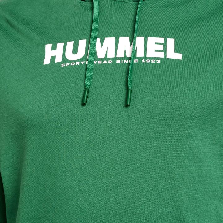 Produktbild hummel Hmllegacy Logo Hoodie Plus (4XL)
