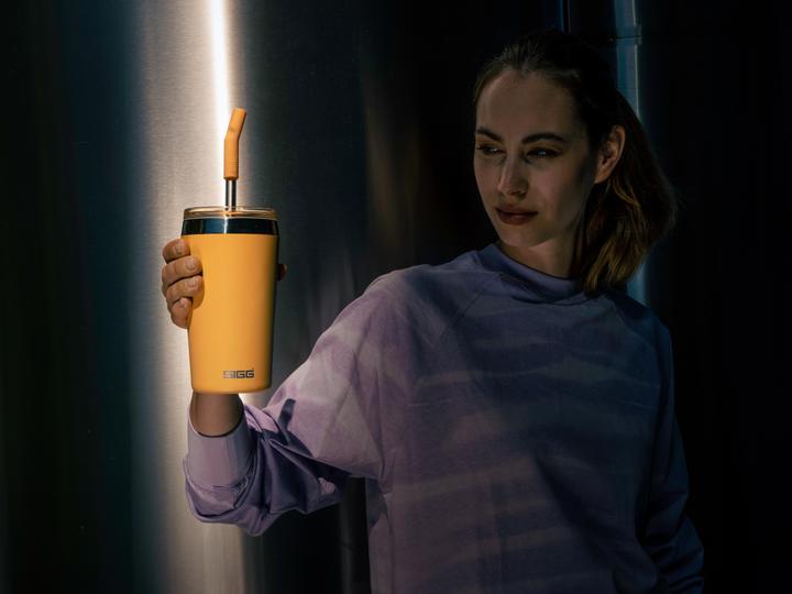 Image du produit Sigg Helia (0.45 l)