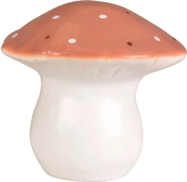 Produktbild Egmont Pilz Terra