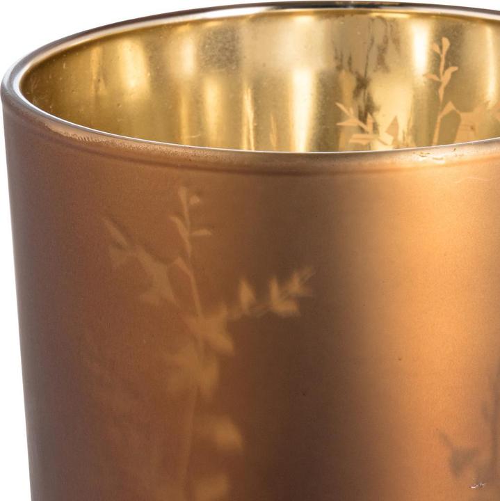 Produktbild pfister Mystic Forest