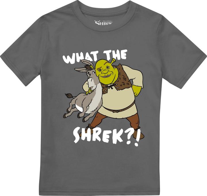 Produktbild Shrek Best Buds TShirt Jungen (128)