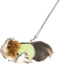 Actual product image Trixie Soft harness with leash for rats (Rodents, General)