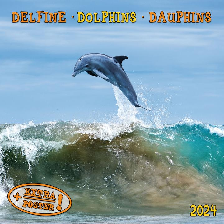 Actual product image Dolphins 2023 (30 x 30 cm)