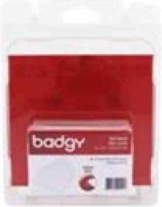 Image du produit Evolis Carte PVC Badgy