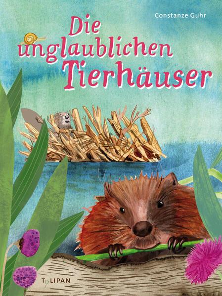 Die unglaublichen Tierhäuser (German)