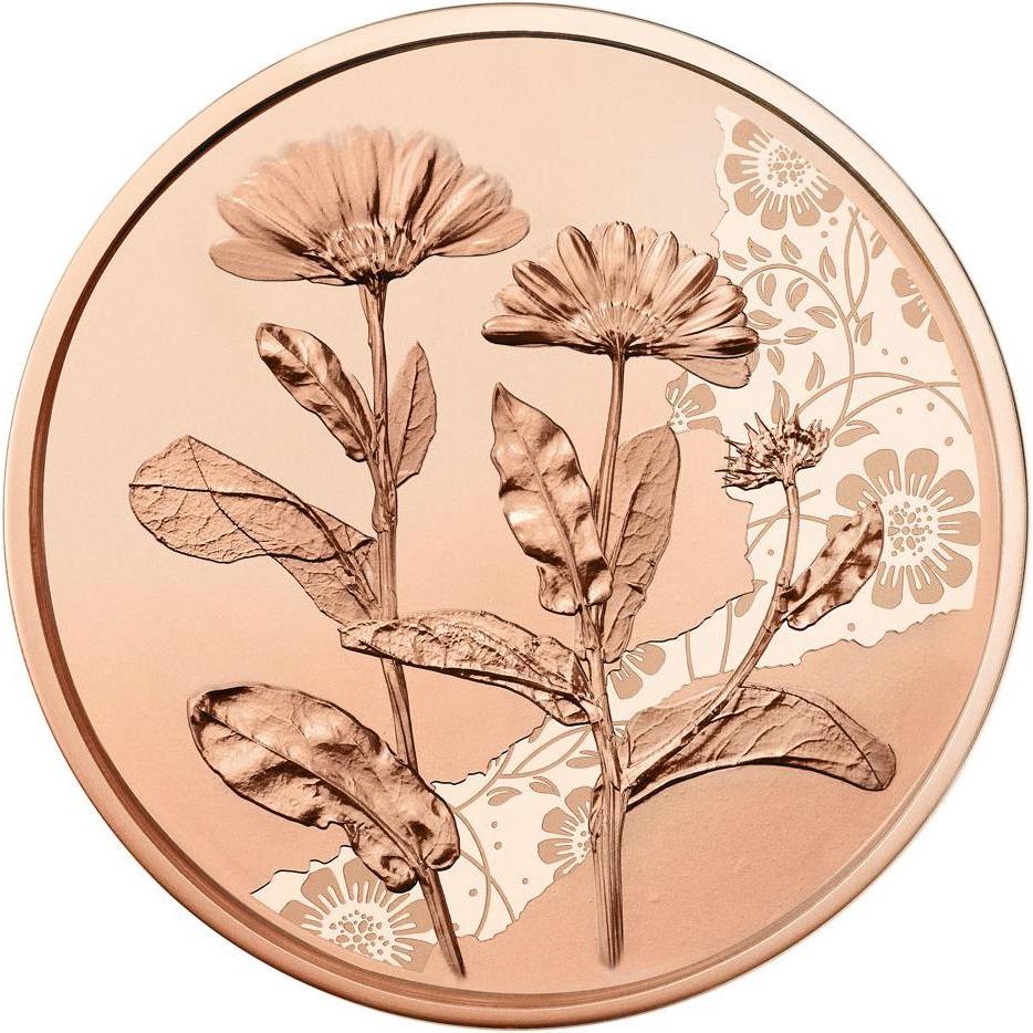 Thumbnail - Münze Österreich, Münzen, Ringelblume, (1.00, 2022)