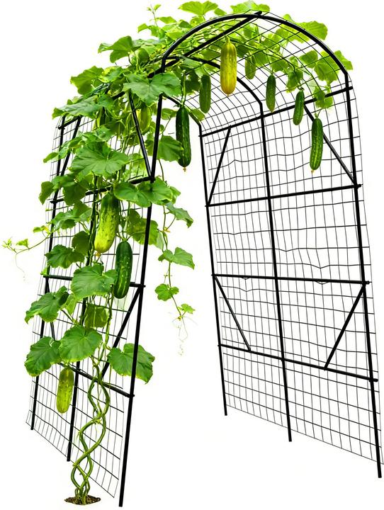Produktbild Relaxdays Gurken-Rankhilfe (198 cm, 140 cm)