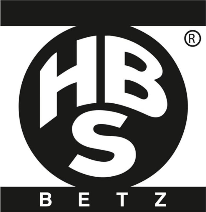 Actual product image HBS Betz Birdcaster 471 Cast iron Castor Ø 50 mm Load capacity max. 22 kg Groove 6 mm