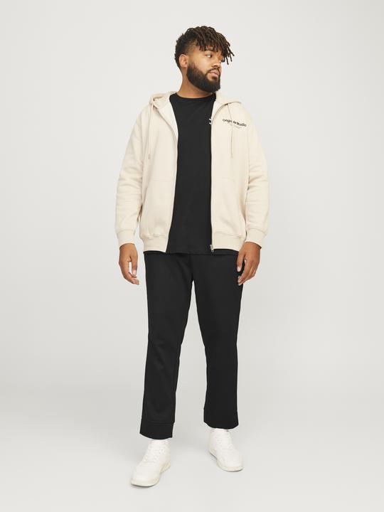 Actual product image Jack & Jones Plus size slim fit trousers with slim fit trousers with slim fit (44)