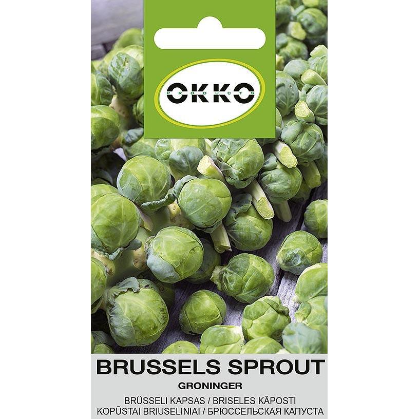 Okko, Semi, Seeds Groninger, 0.5 g