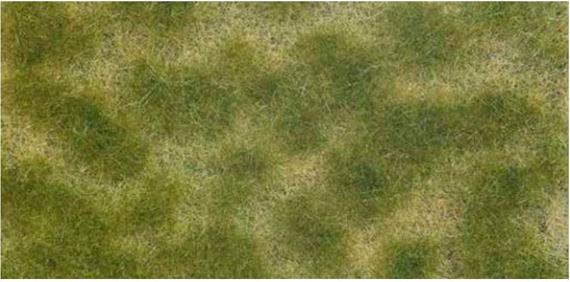 Productafbeelding Noch 07253 Bodembedekkers Groen, Beige