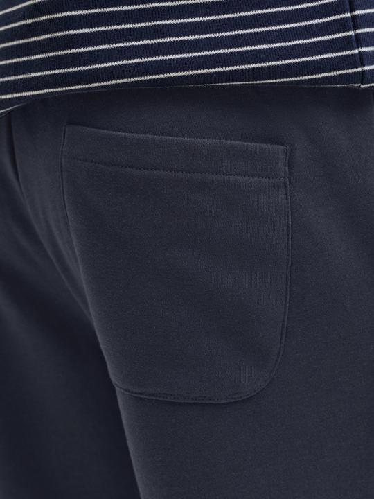 Image du produit Jack & Jones Jpstgordon Bradley Sweat Shorts Lng Sn (XL)