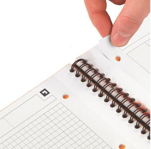 Image du produit Oxford Activebook (A4, Quadrillé, Couverture souple)