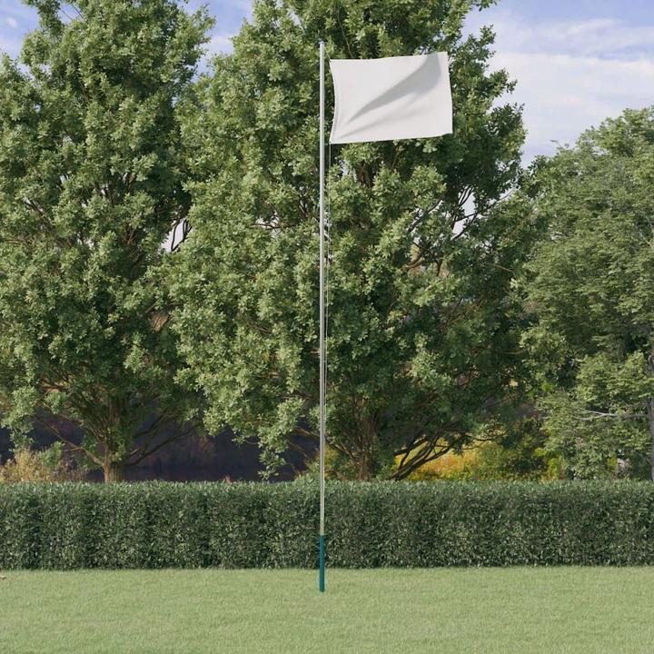 Immagine prodotto VidaXL Asta per bandiera divisibile argento 6,23 m in alluminio, colore