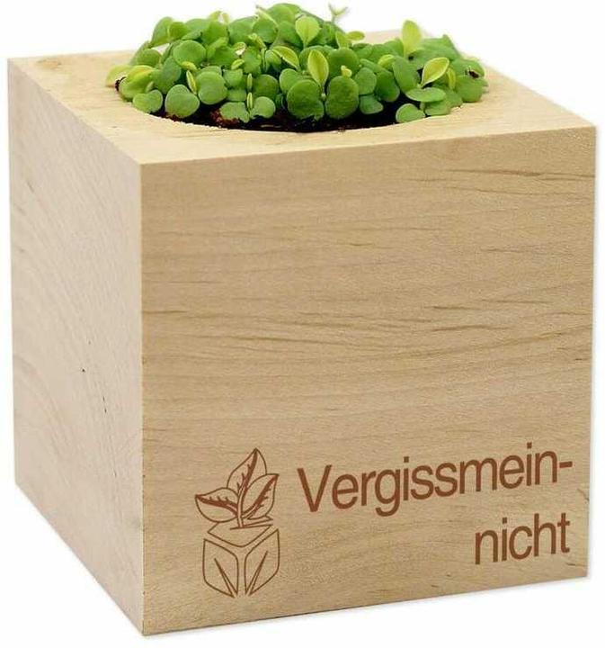Immagine prodotto Feel Green Ecocube (Semi di fiori)