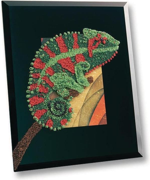 Produktbild Folia Perlen Deko-Set