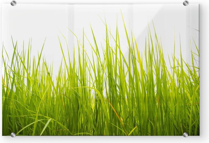 Produktbild Trenddeko Hohes Gras - Transparent (40 x 60 cm)
