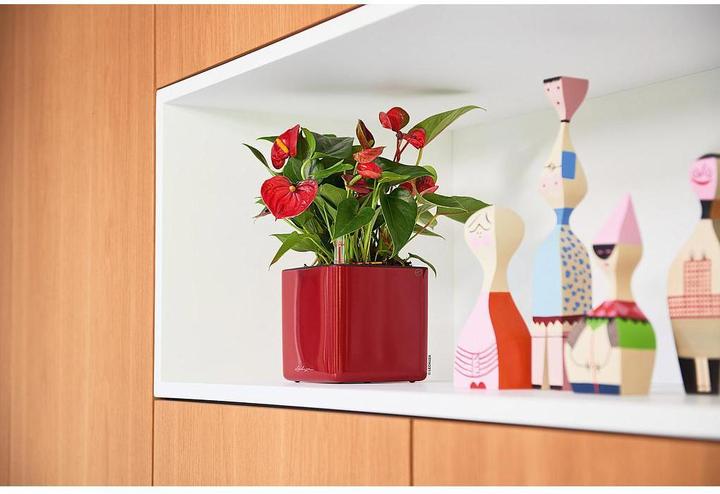 Produktbild Lechuza CUBE Glossy 16 (16 x 16 x 16 cm)