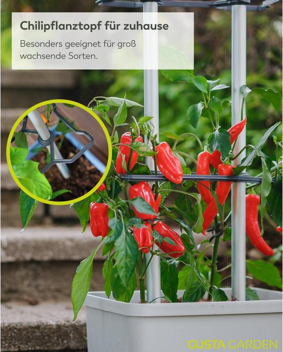 Actual product image Gusta Garden Charly Chilli XL