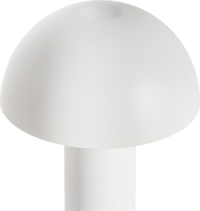 Produktbild Beliani Bojo (100 lm)