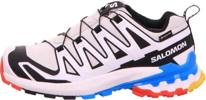 Salomon XA Pro 3D V9 GTX