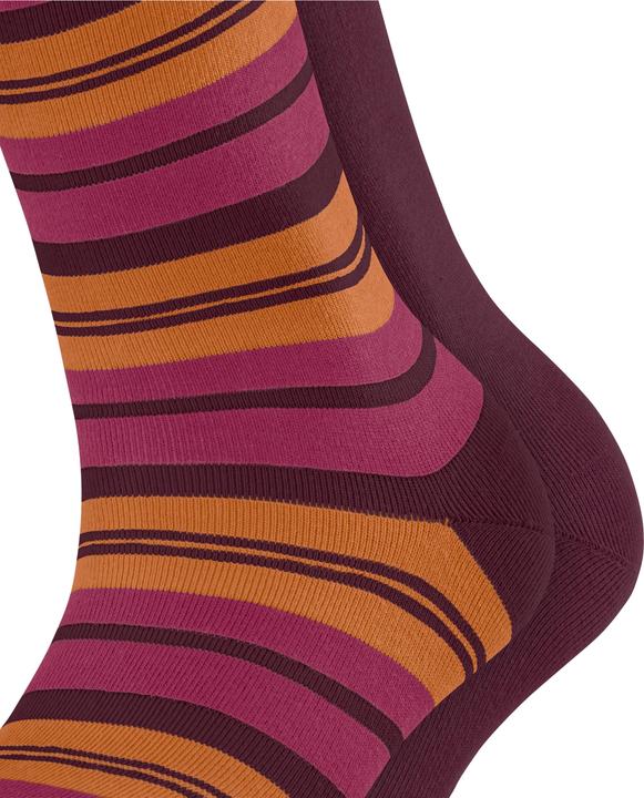 Produktbild Falke College Stripe SO 2P (2er Pack, 35 - 38)